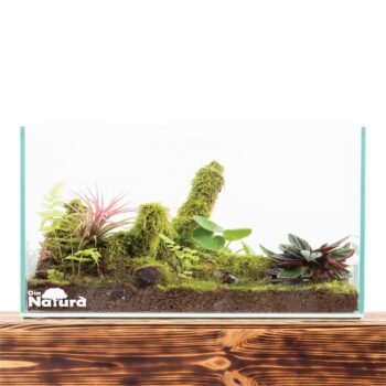 Terariu KIT DIY mediu – 14x16x23cm